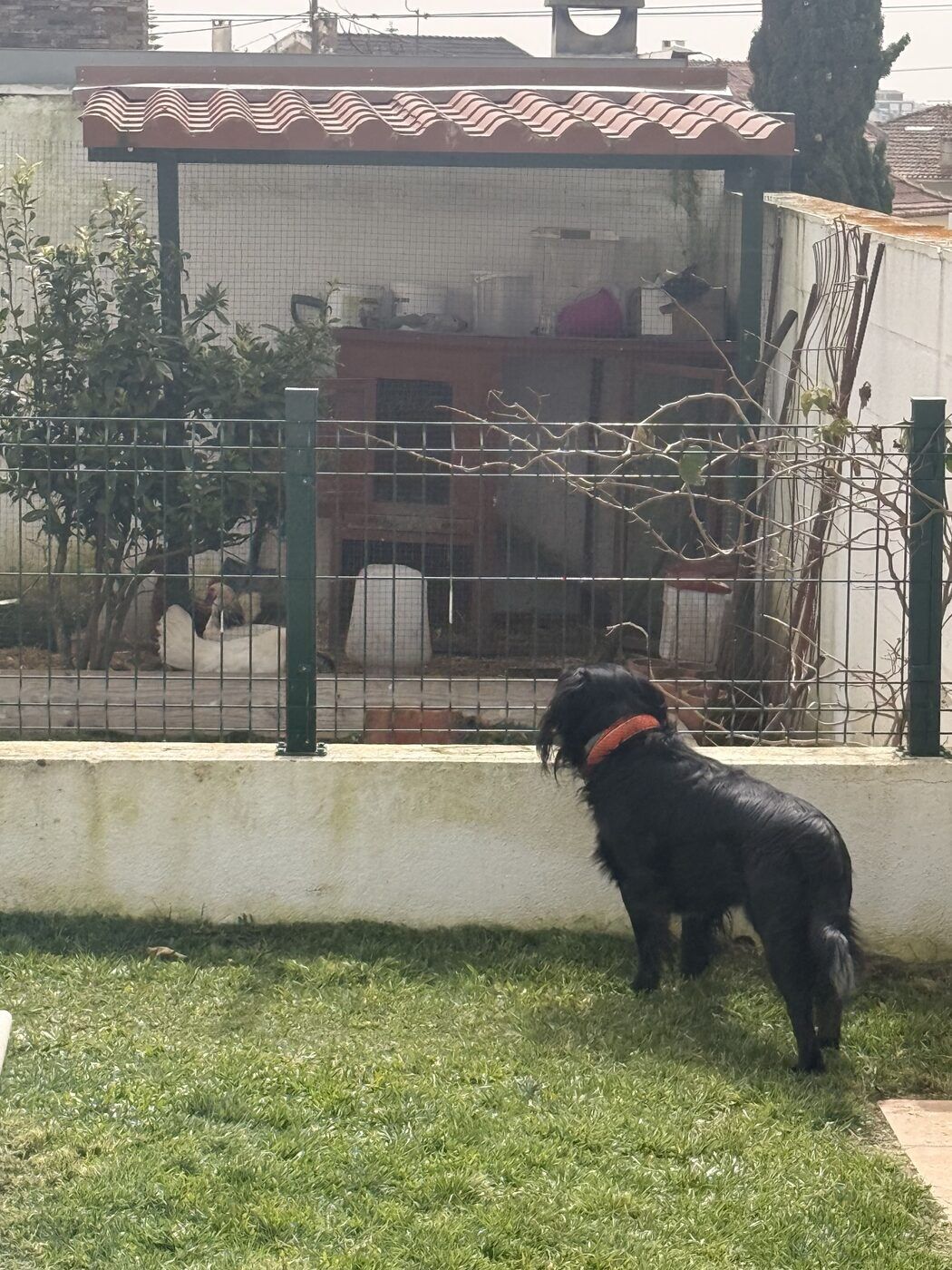 Momento dos nossos dias 16