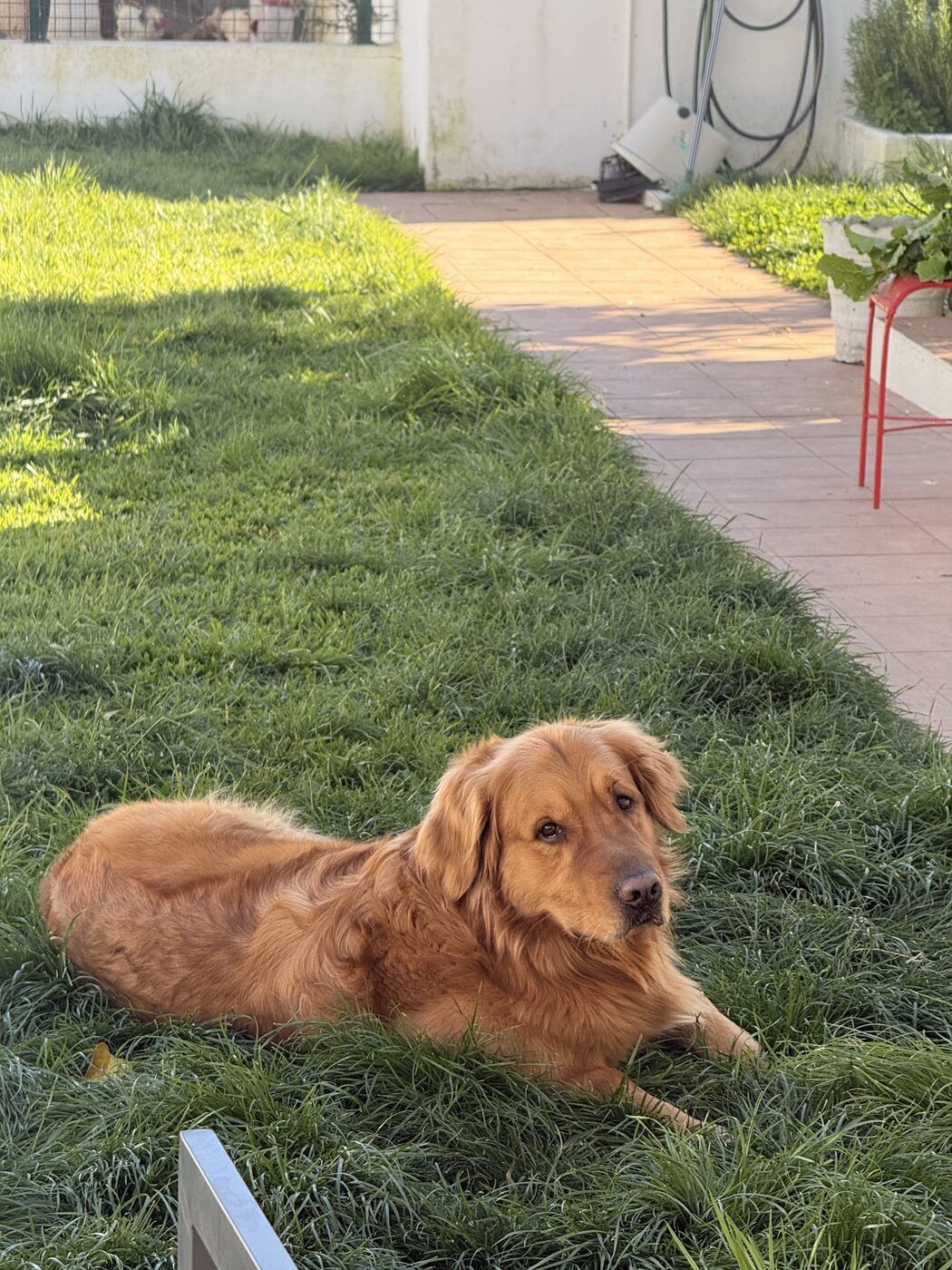 Momento dos nossos dias 17
